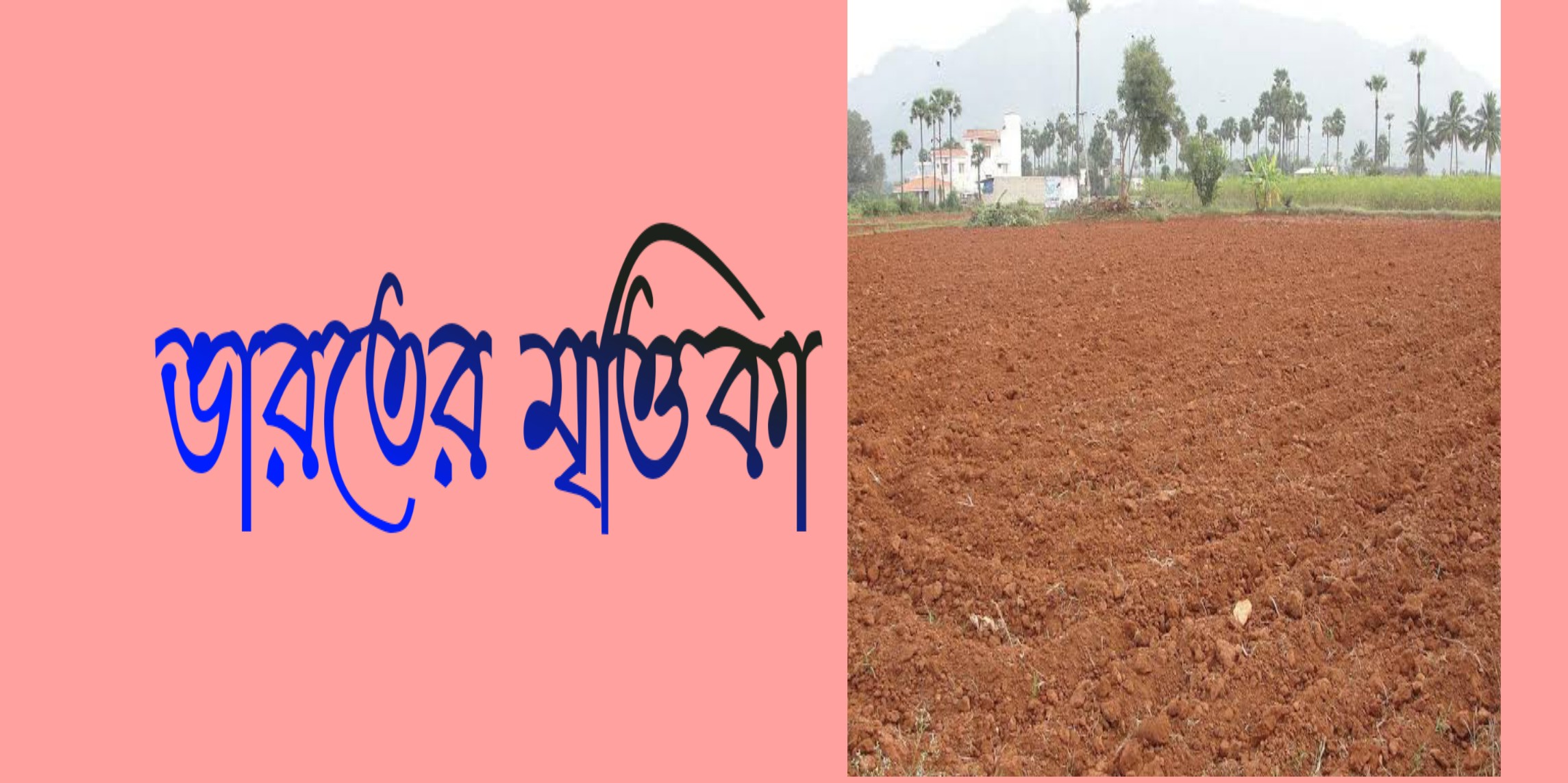 Various types Soil of India | ভারতের ভারতের মৃত্তিকার প্রকারভেদ