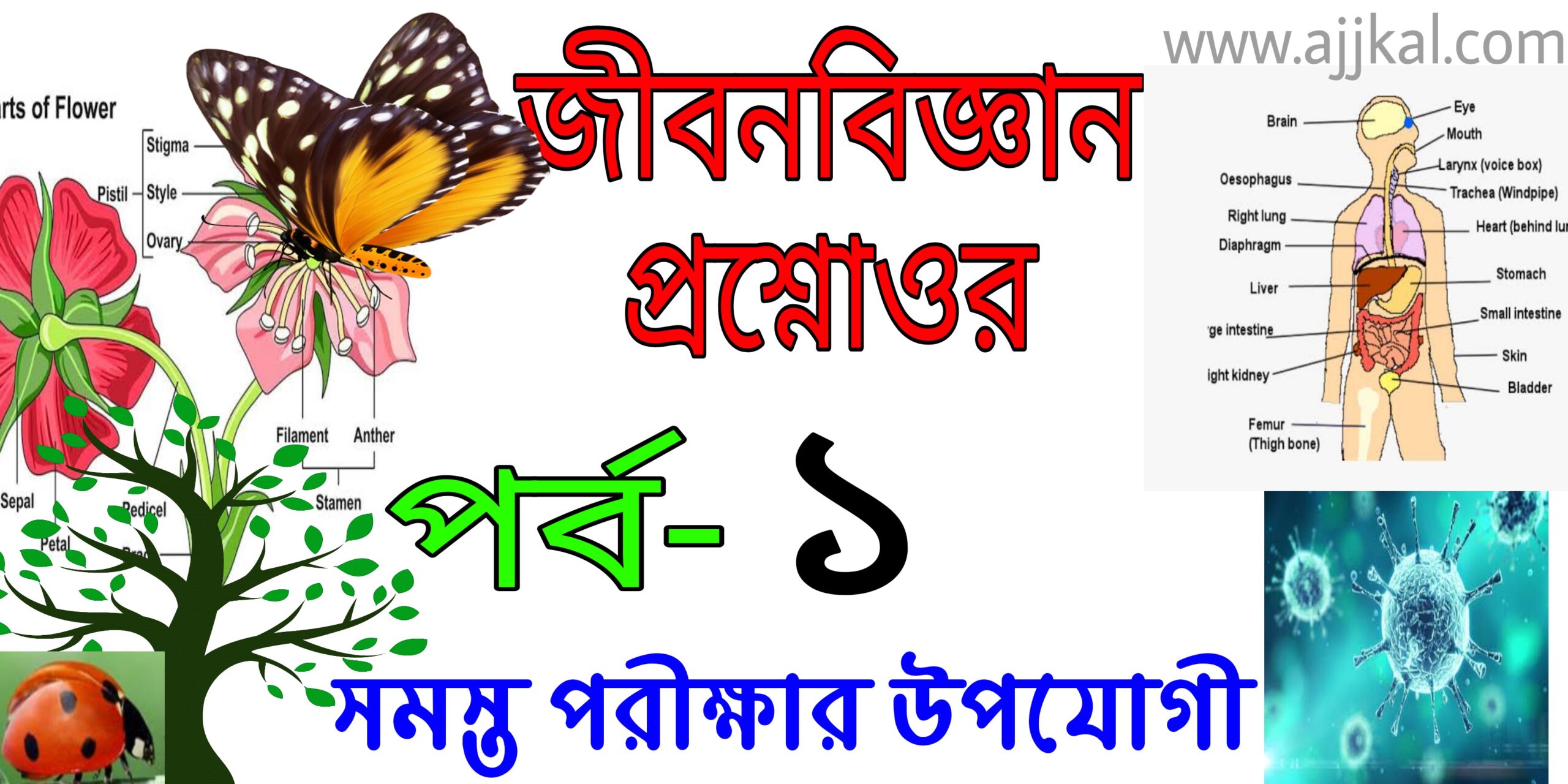 জীবনবিজ্ঞান প্রশ্ন ও উওর (Life Science questions and answers) Part-1