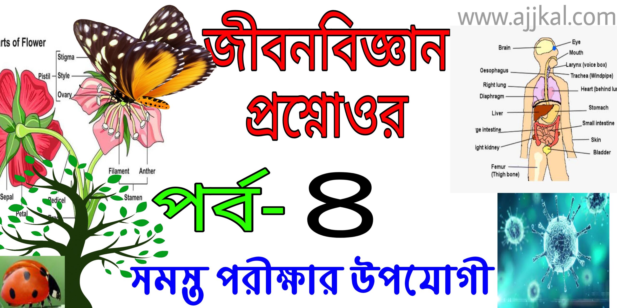 জীবনবিজ্ঞান প্রশ্ন ও উওর (Life Science top questions and answers) Part-4