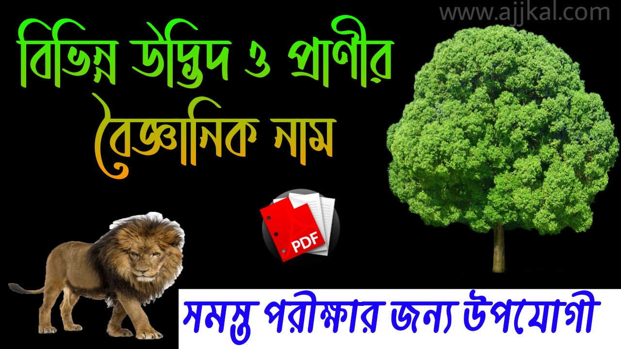 বিভিন্ন উদ্ভিদ ও প্রাণীর বৈজ্ঞানিক নাম (Scientific names of various plants and animals) Pdf