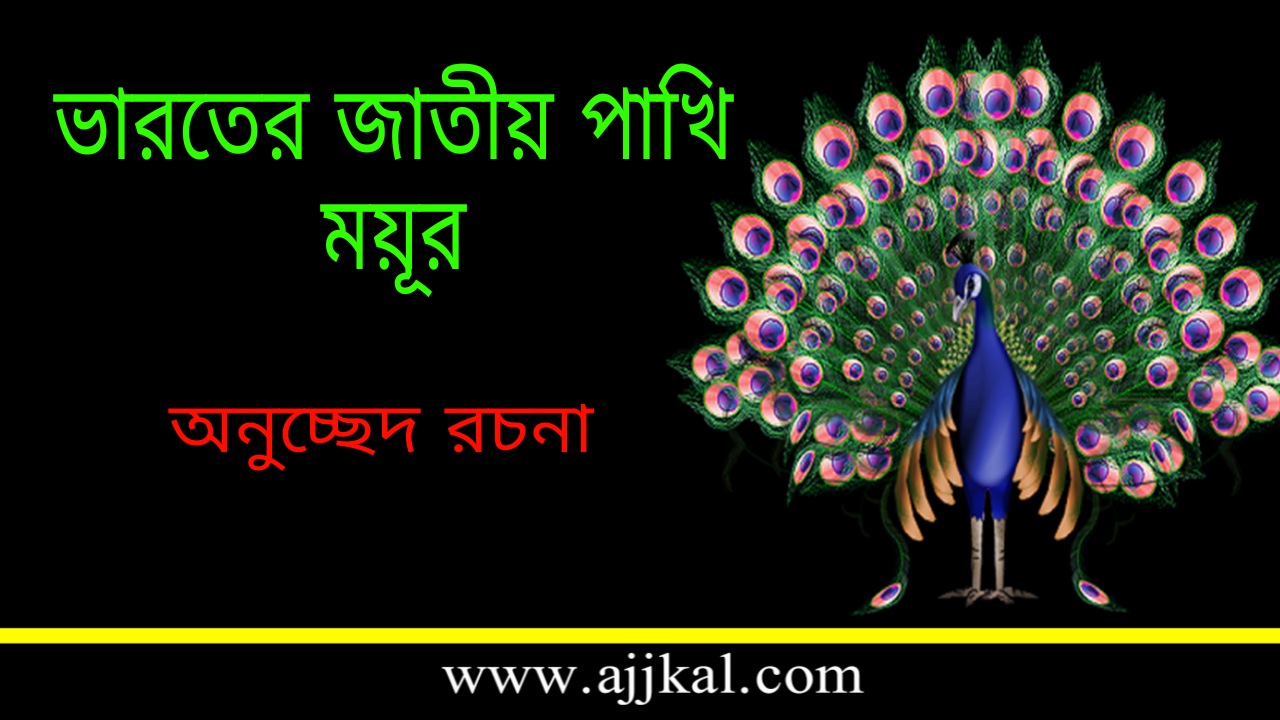 ভারতের জাতীয় পাখি ময়ূর | National Bird of India is Peacock