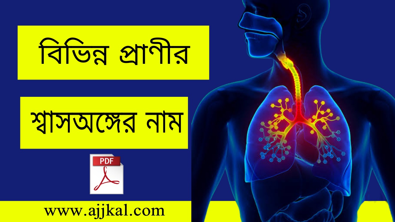 বিভিন্ন প্রাণীর শ্বাসঅঙ্গের নাম | Name of Respiratory Organs of Different Animals PDF