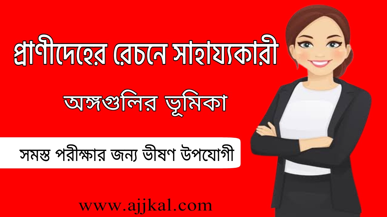 প্রাণীদেহের রেচনে সাহায্যকারী অঙ্গগুলির ভূমিকা | Role of Excretory Organs of Animal Body