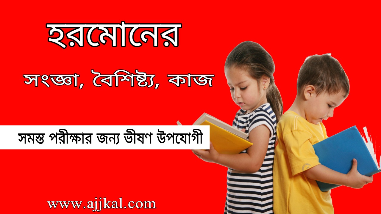 হরমোনের সংজ্ঞা, বৈশিষ্ট্য, কাজ | Definition Properties Functions of Hormones