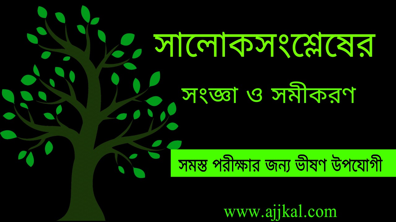 সালোকসংশ্লেষের সংজ্ঞা ও সমীকরণ | Definition and Equation of Photosynthesis